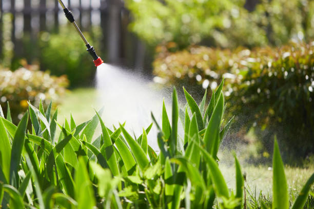 24/7 Emergency Ant Control experts in Decorah, IA